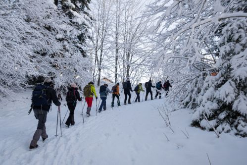 sejour raquettes en bauges