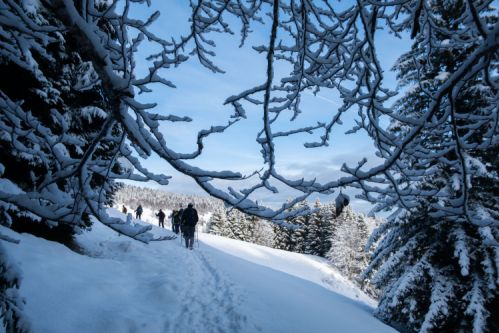 sejour raquettes en bauges