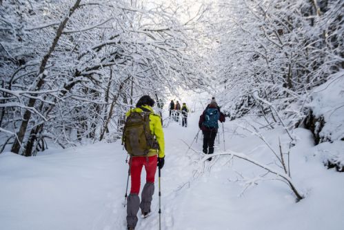 sejour raquettes en bauges