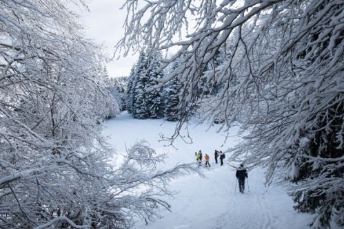 Sejour raquettes en bauges
